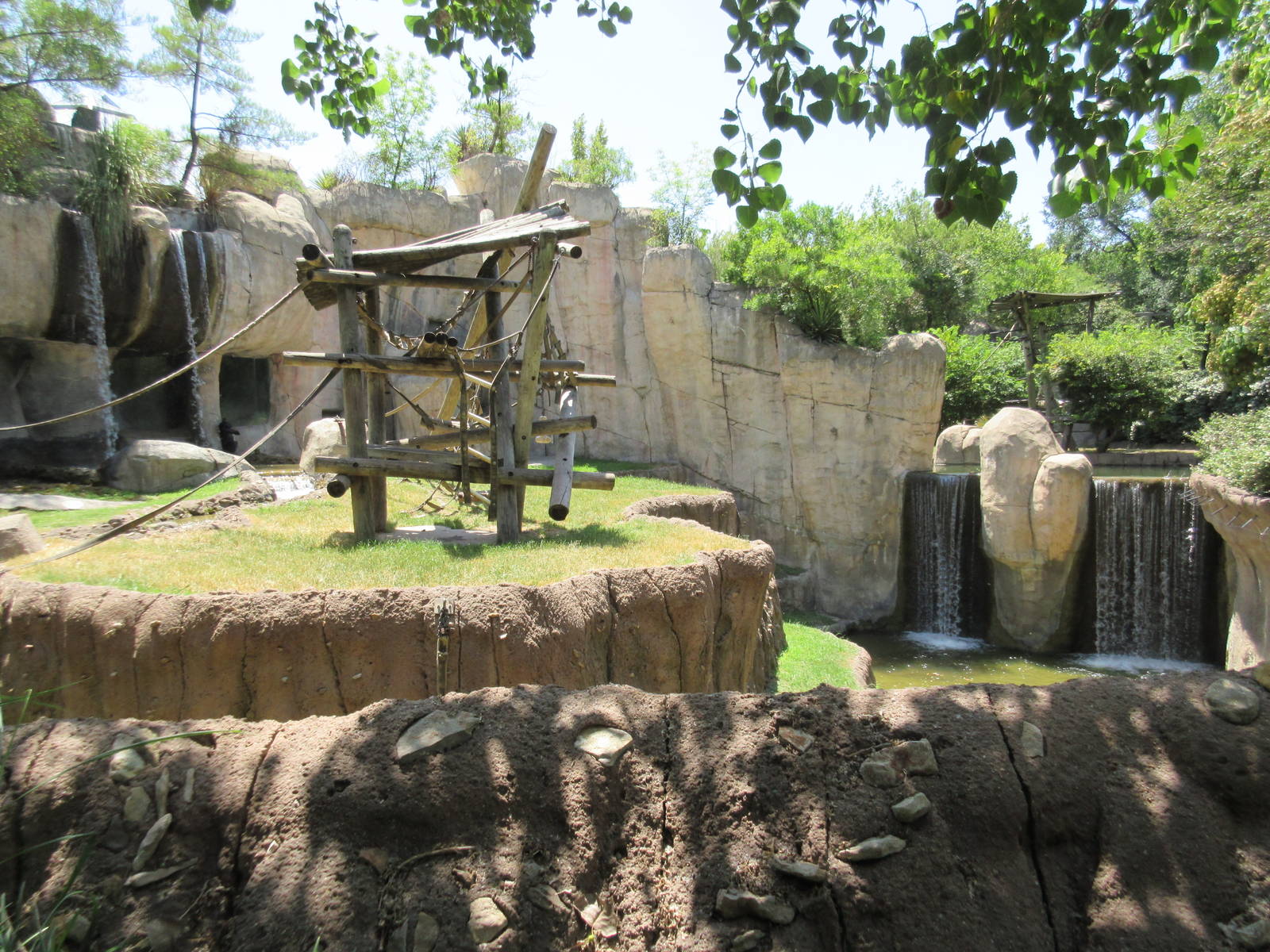 Primate World - Bonobo Exhibit (with 4 waterfalls!)