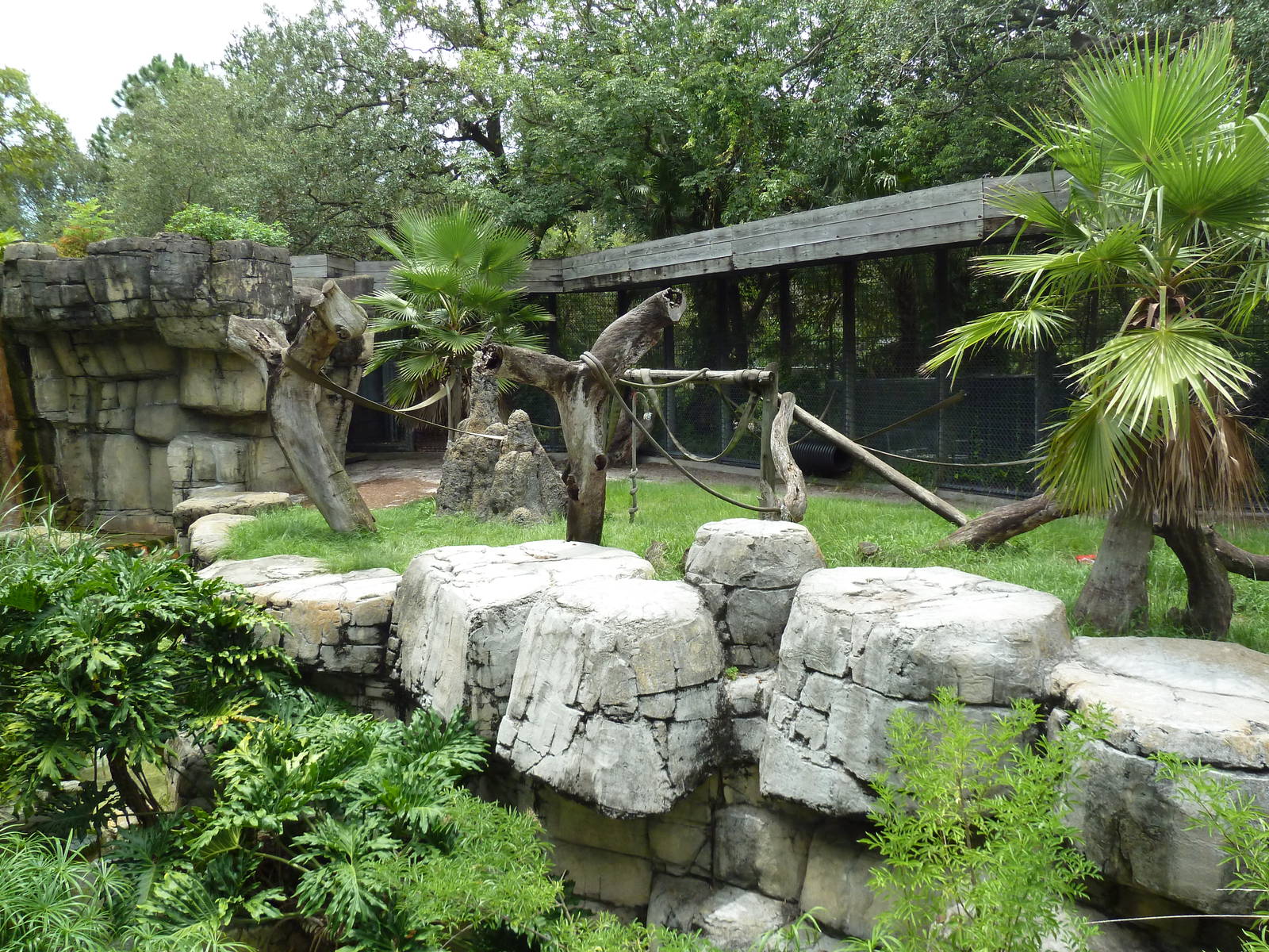 Primate World - Chimpanzee Exhibit