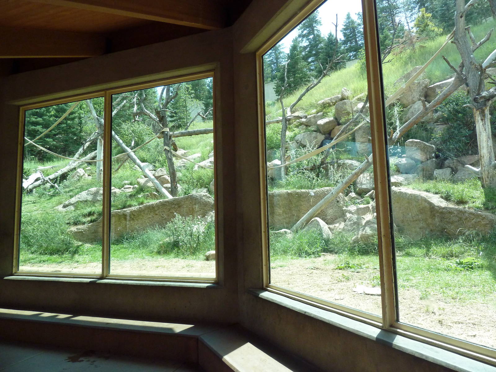 Primate World - Gorilla Exhibit