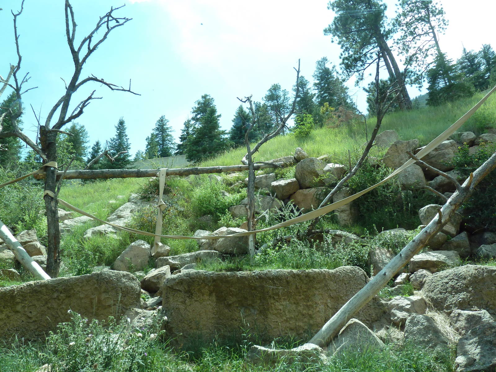 Primate World - Gorilla Exhibit