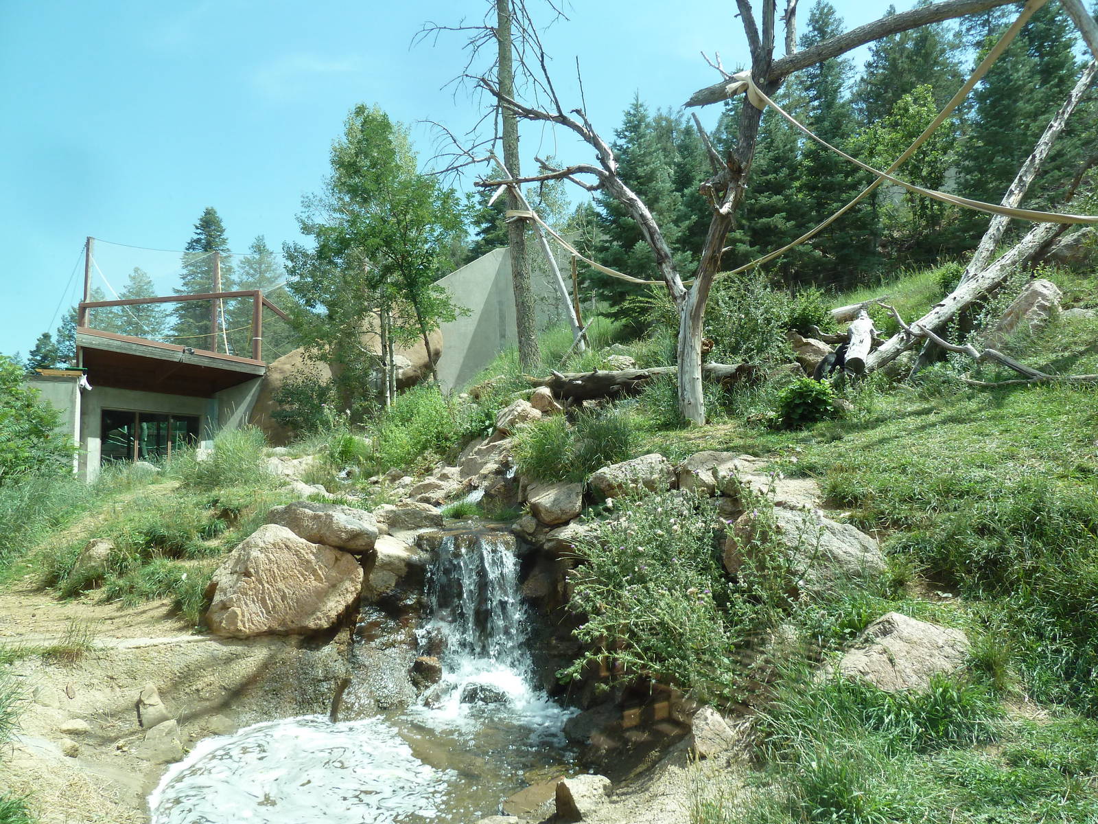 Primate World - Gorilla Exhibit