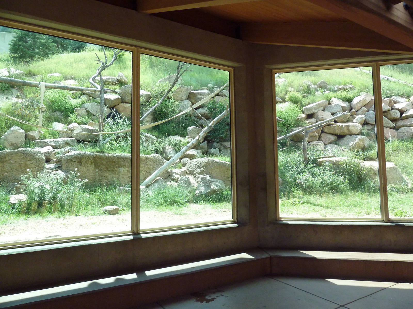 Primate World - Gorilla Exhibit