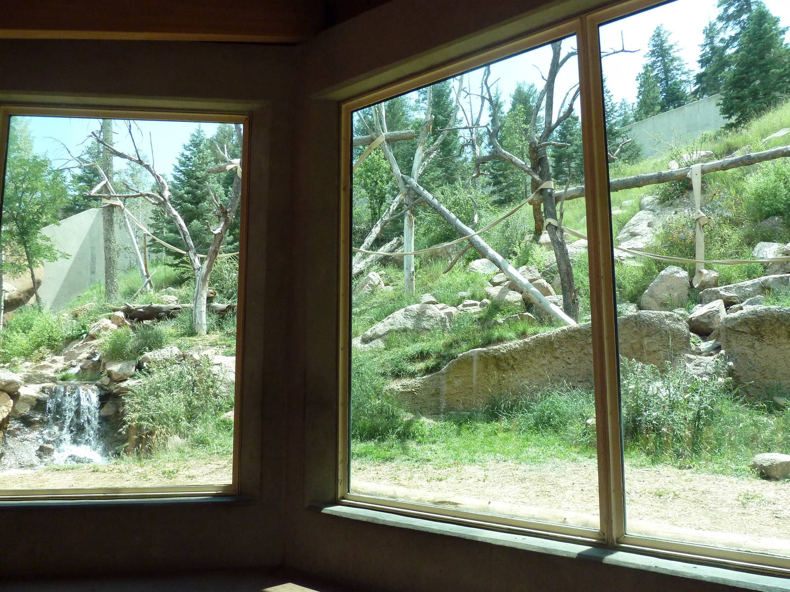 Primate World - Gorilla Exhibit