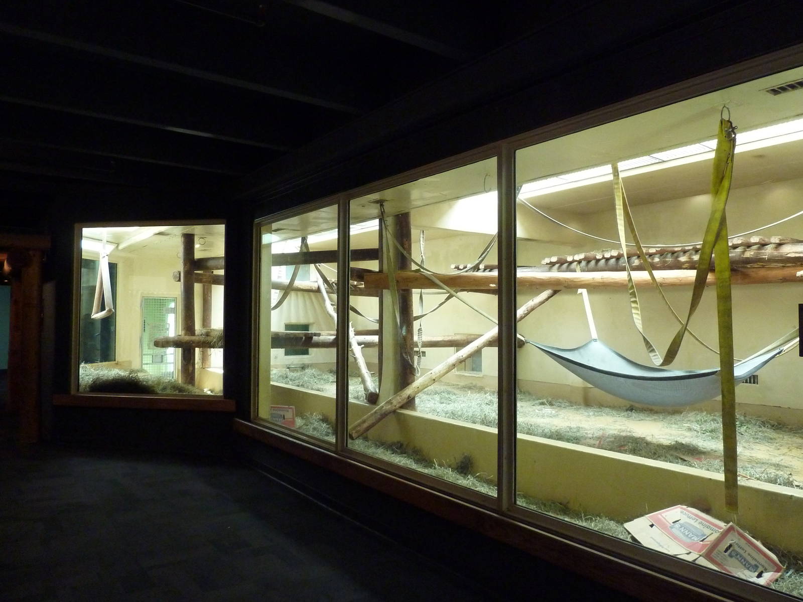 Primate World - Gorilla Indoor Exhibit