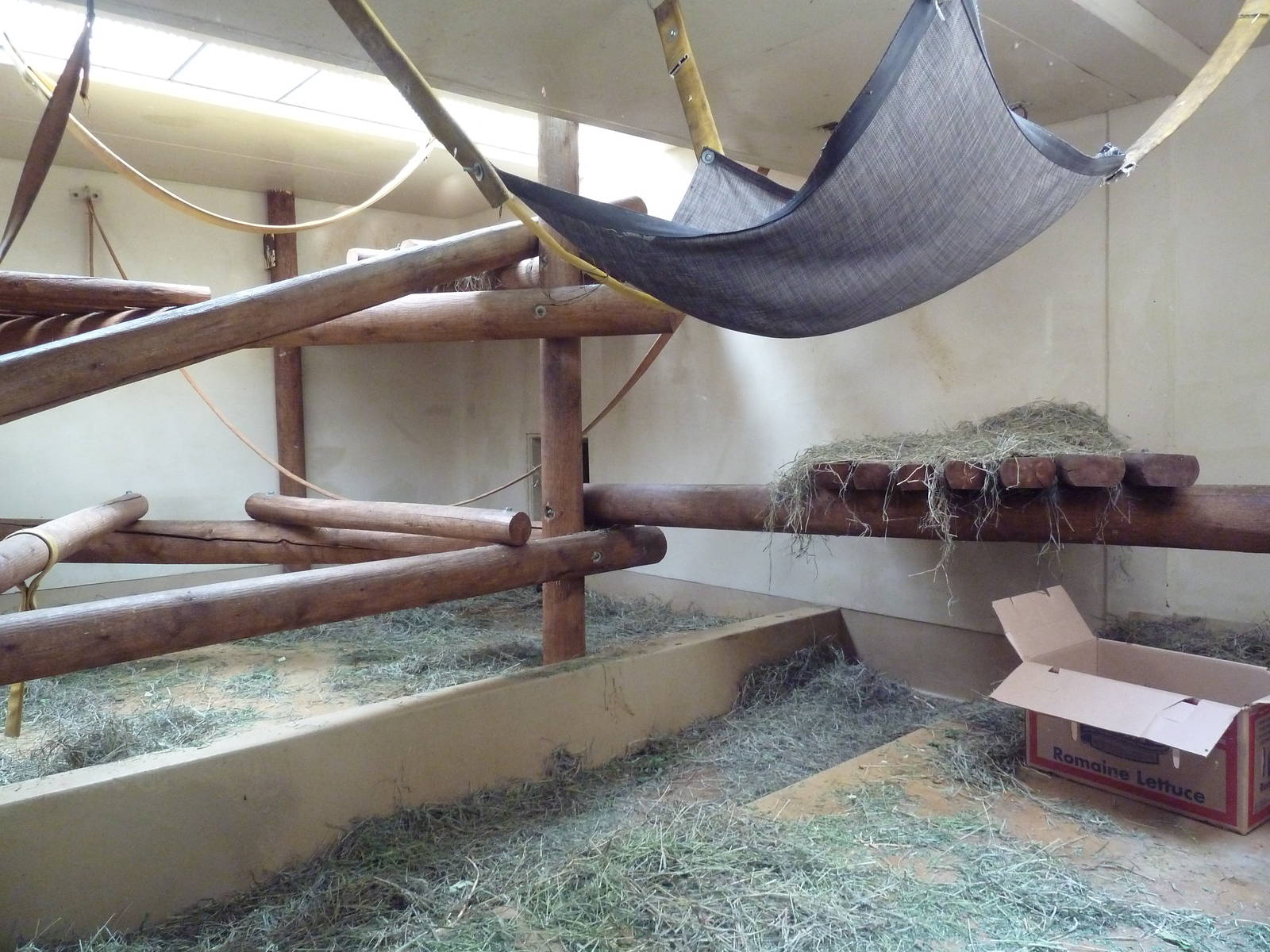 Primate World - Gorilla Indoor Exhibit