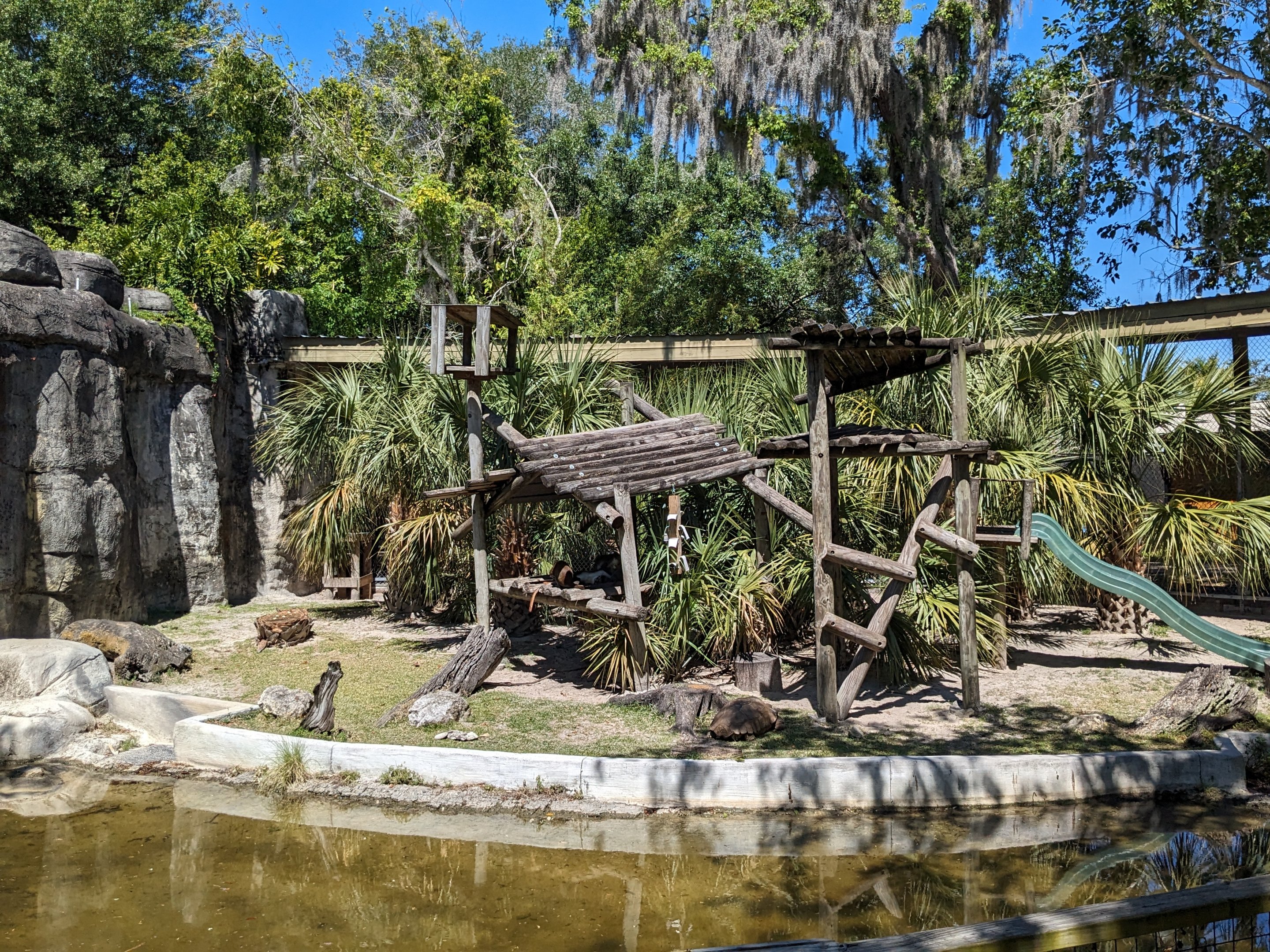 Primate World - Guenon habitat (also sulcata tortoise)