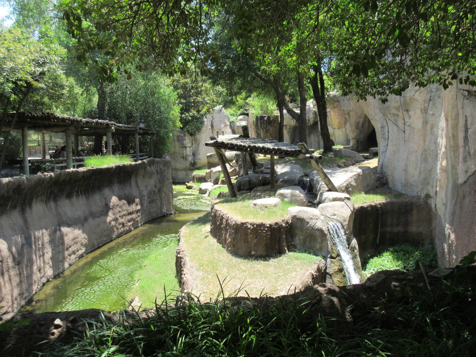 Primate World - Lowland Gorilla Exhibit (side view)