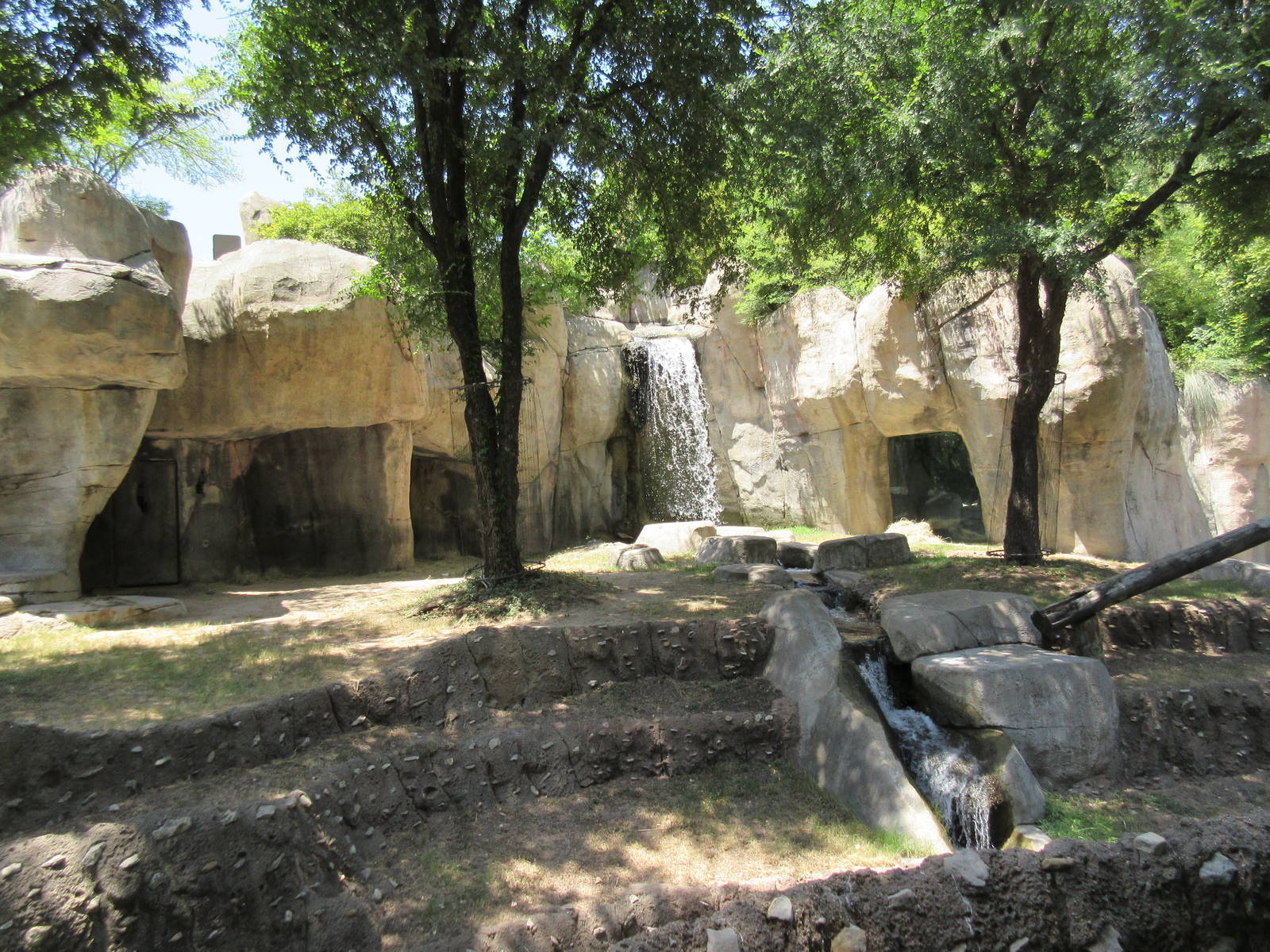 Primate World - Lowland Gorilla Exhibit