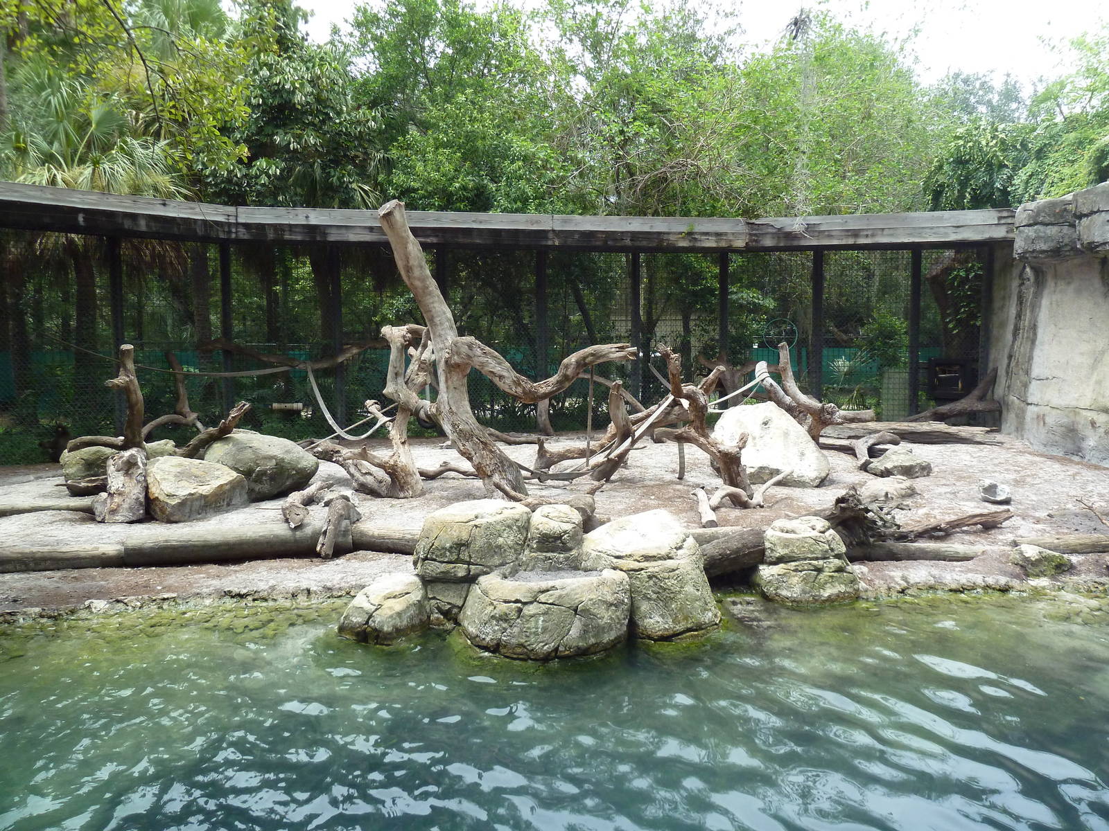 Primate World - Mandrill Exhibit