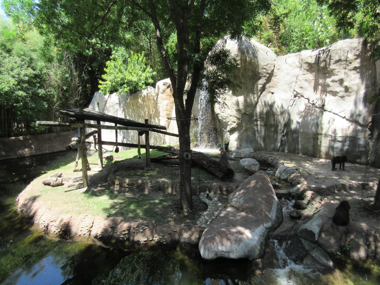 Primate World - Mandrill Exhibit