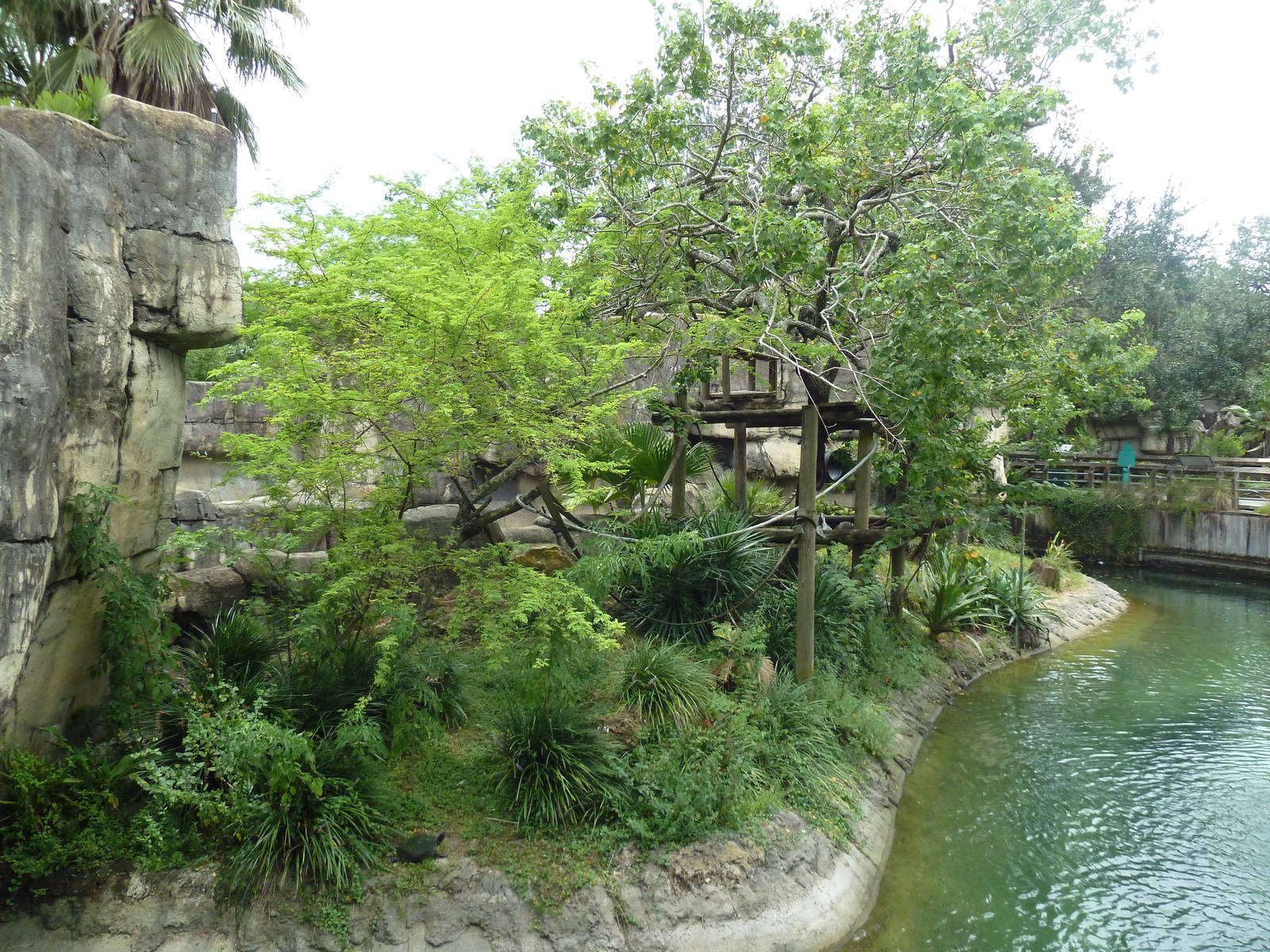 Primate World - Ring-Tailed Lemur/Collared Lemur Exhibit