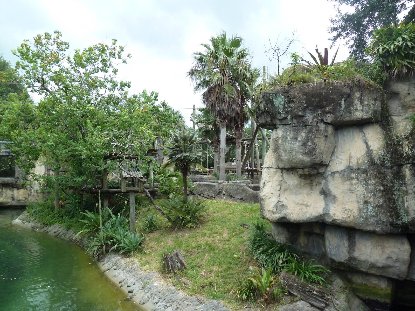 Primate World - Ring-Tailed Lemur/Collared Lemur Exhibit