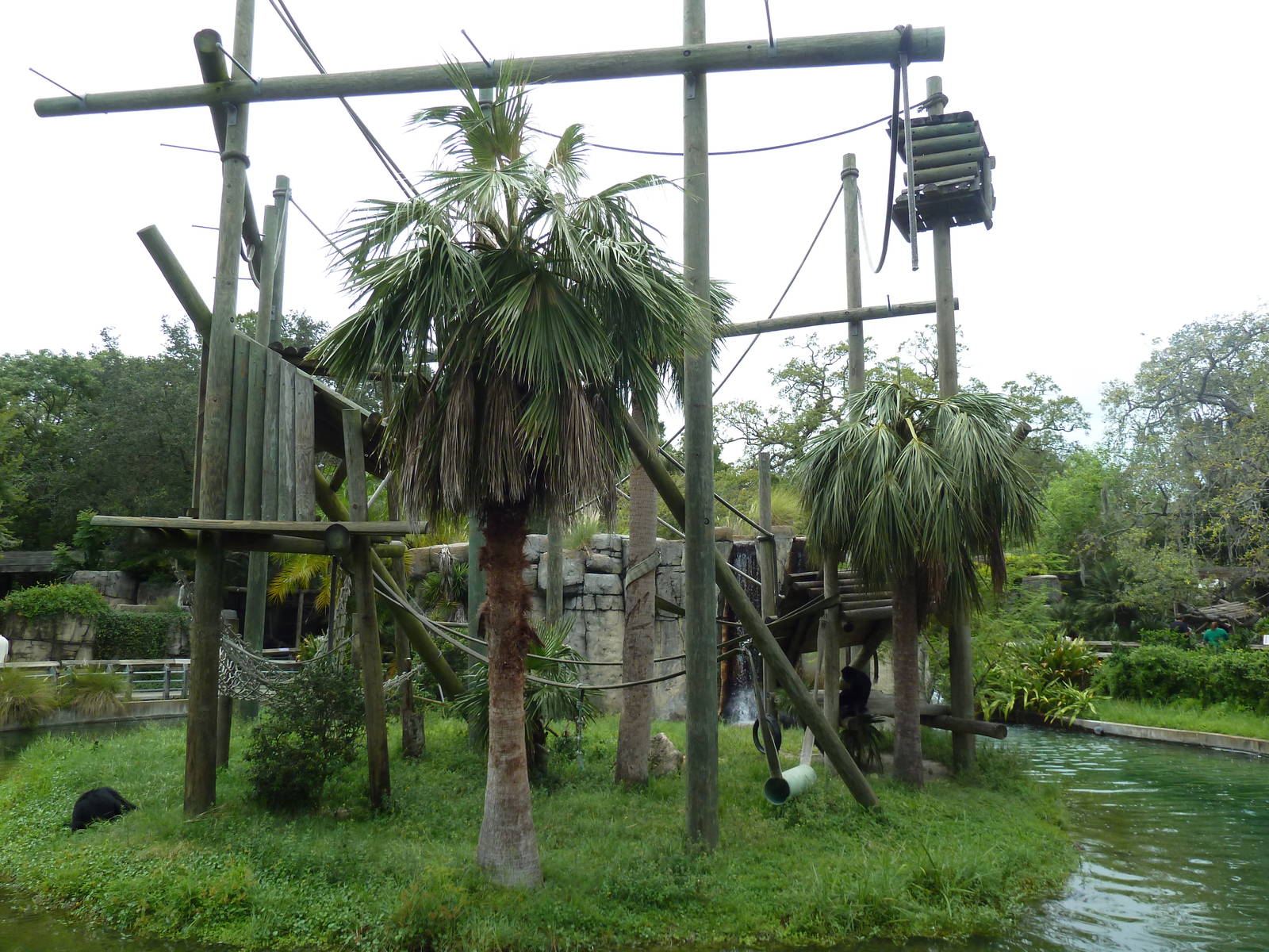 Primate World - Siamang Exhibit