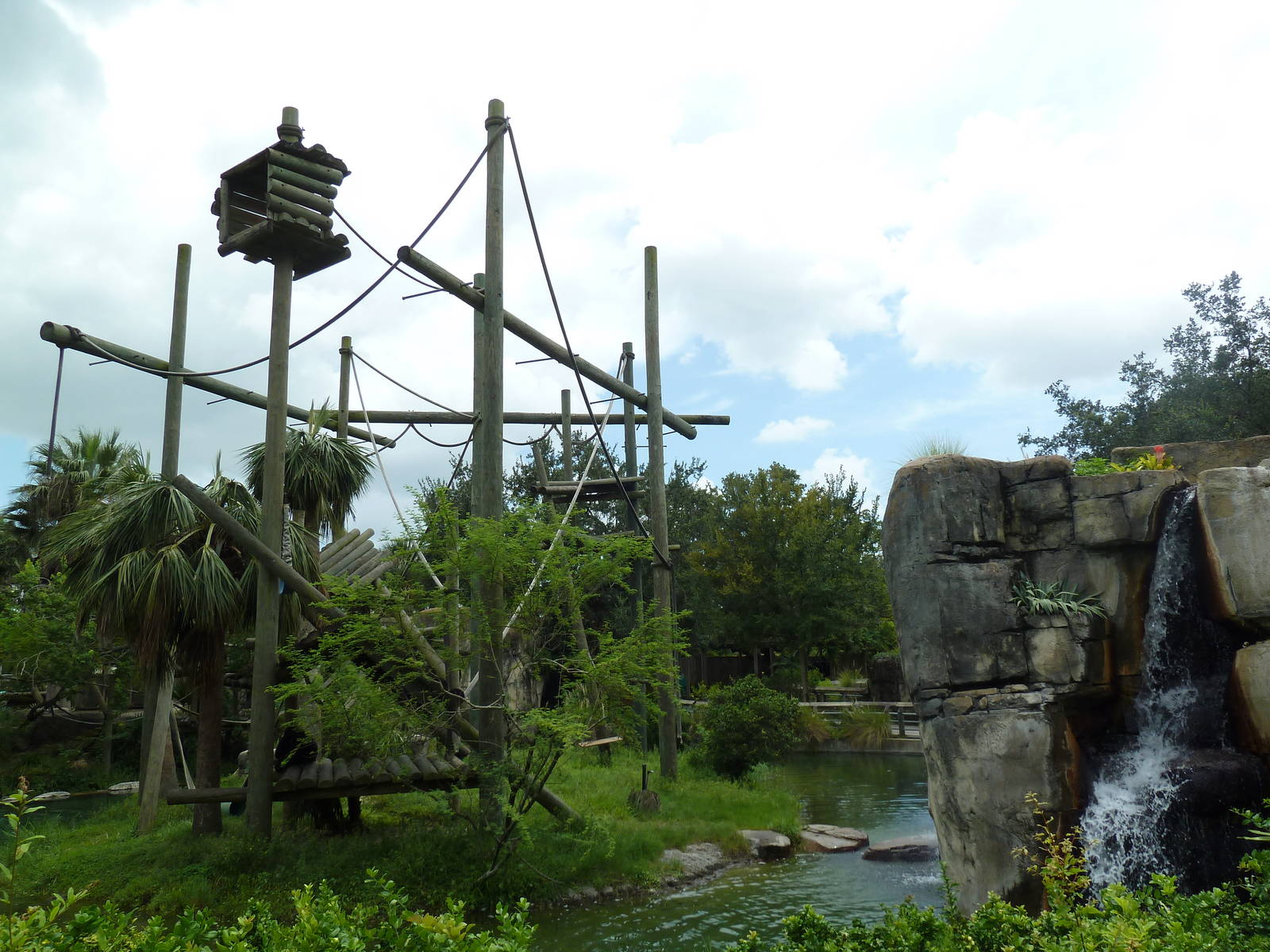 Primate World - Siamang Exhibit