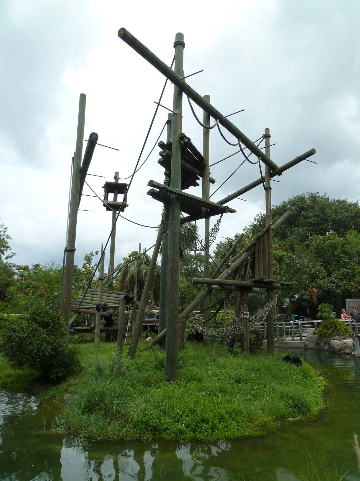 Primate World - Siamang Exhibit