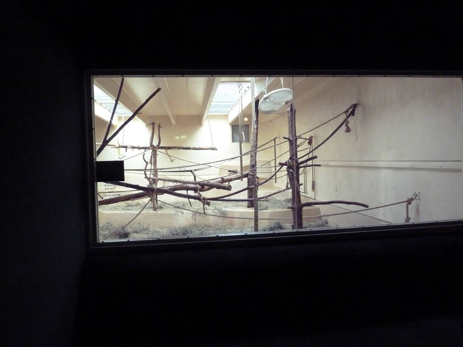 Primate World - Siamang Exhibit