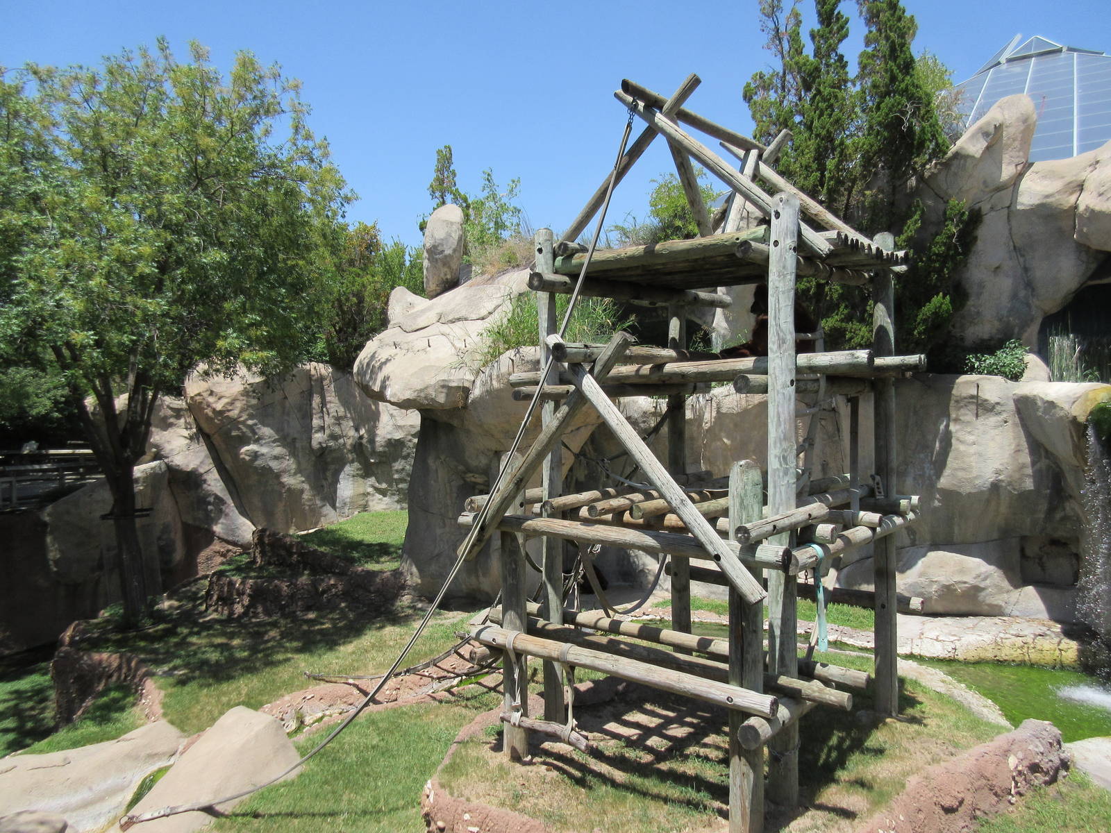 Primate World - Sumatran Orangutan Exhibit