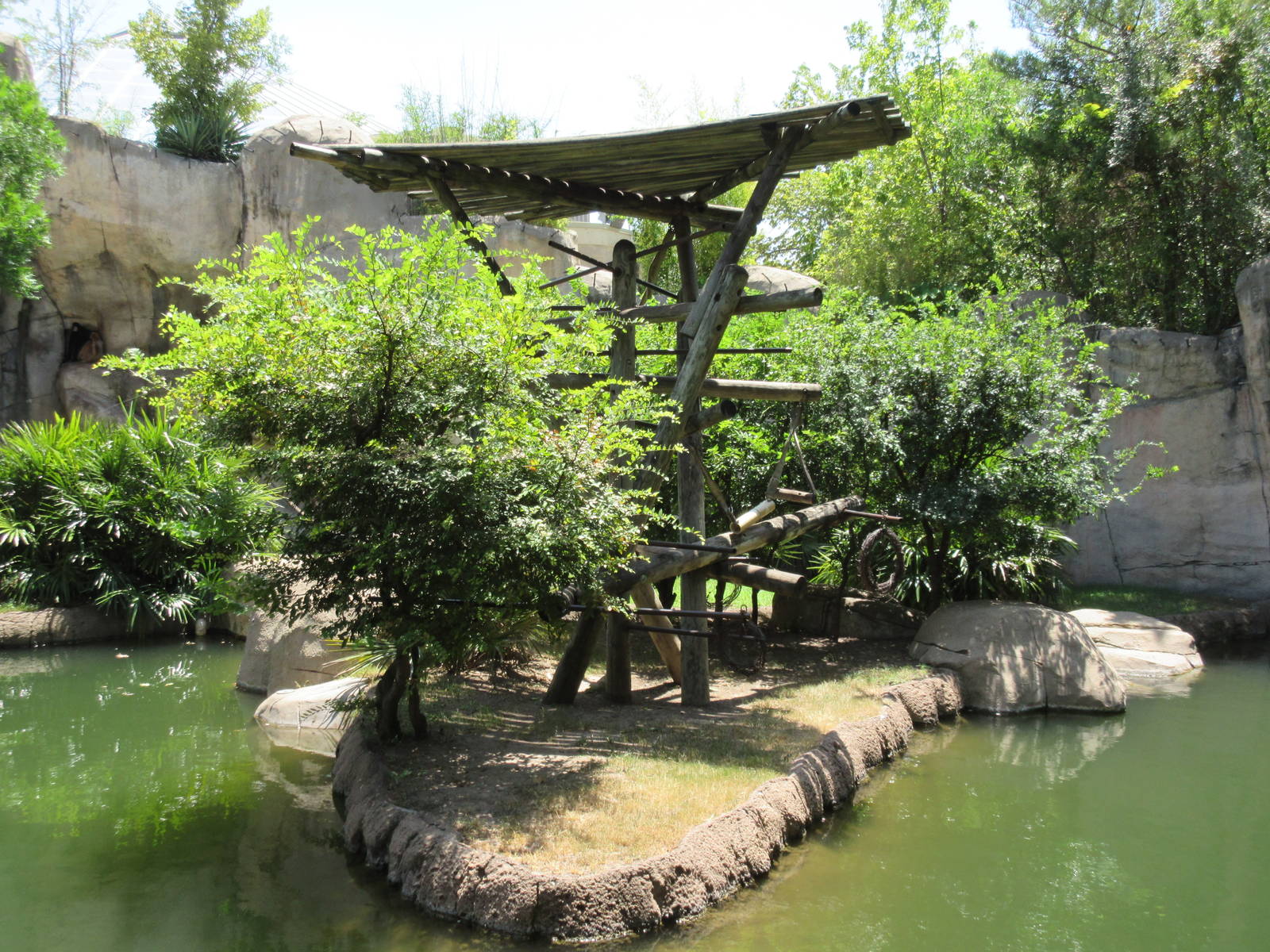 Primate World - White-Cheeked Gibbon Exhibit