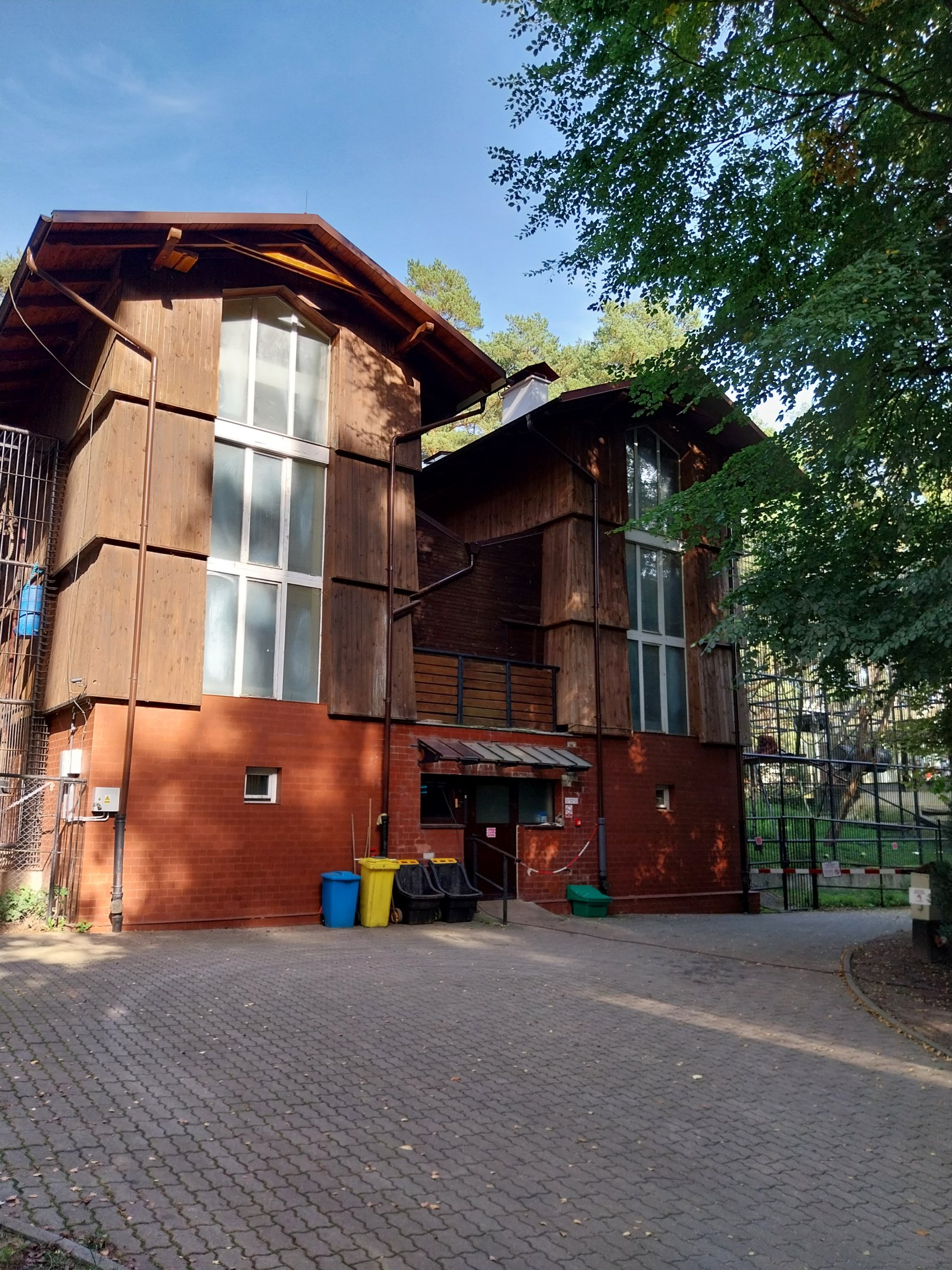 Primates - Backside of the Ape house - Orangutan (right) and Chimpanzee (left)