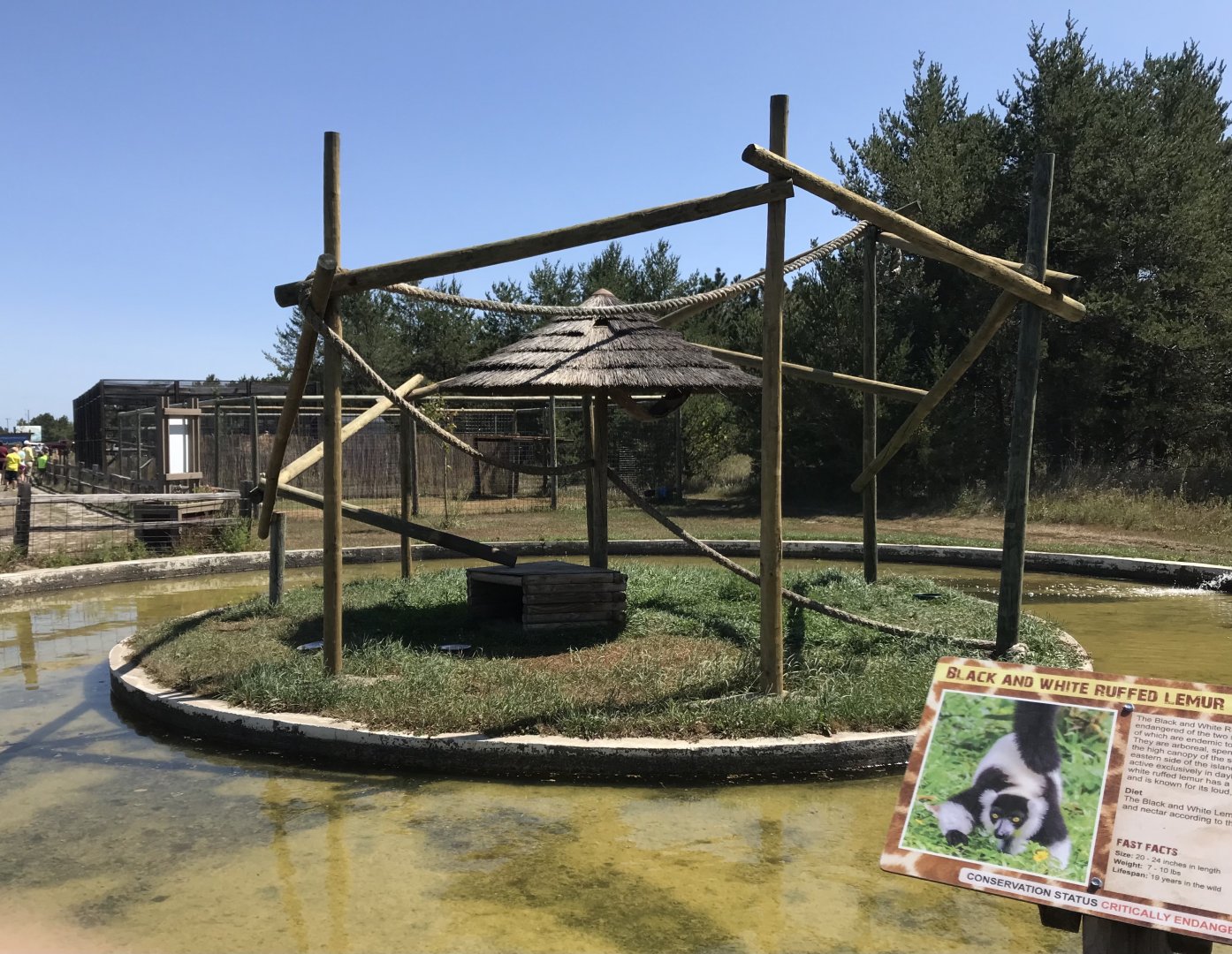 Primates- black & white ruffed lemur/red ruffed lemur exhibit