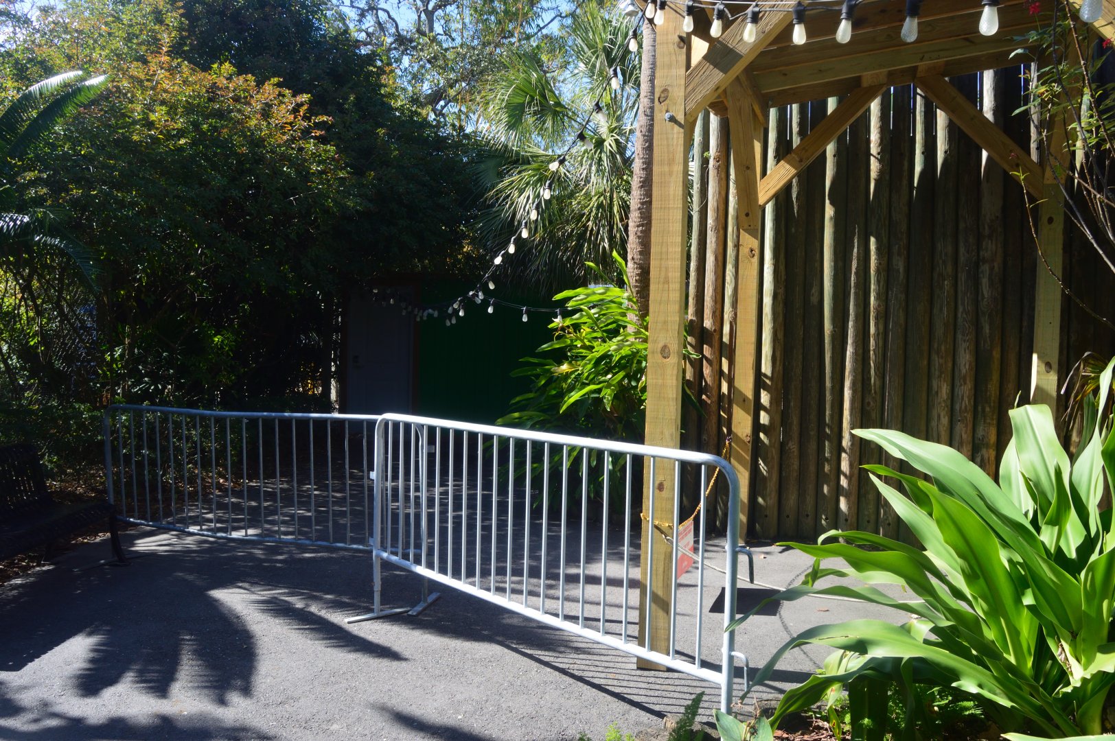 Primates - Blocked Path