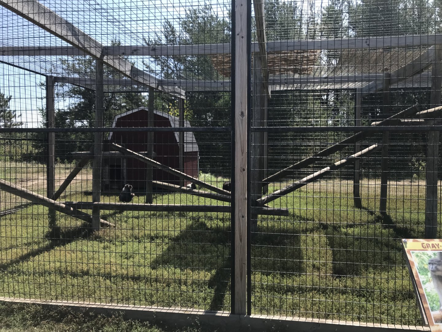 Primates- booted macaque exhibit