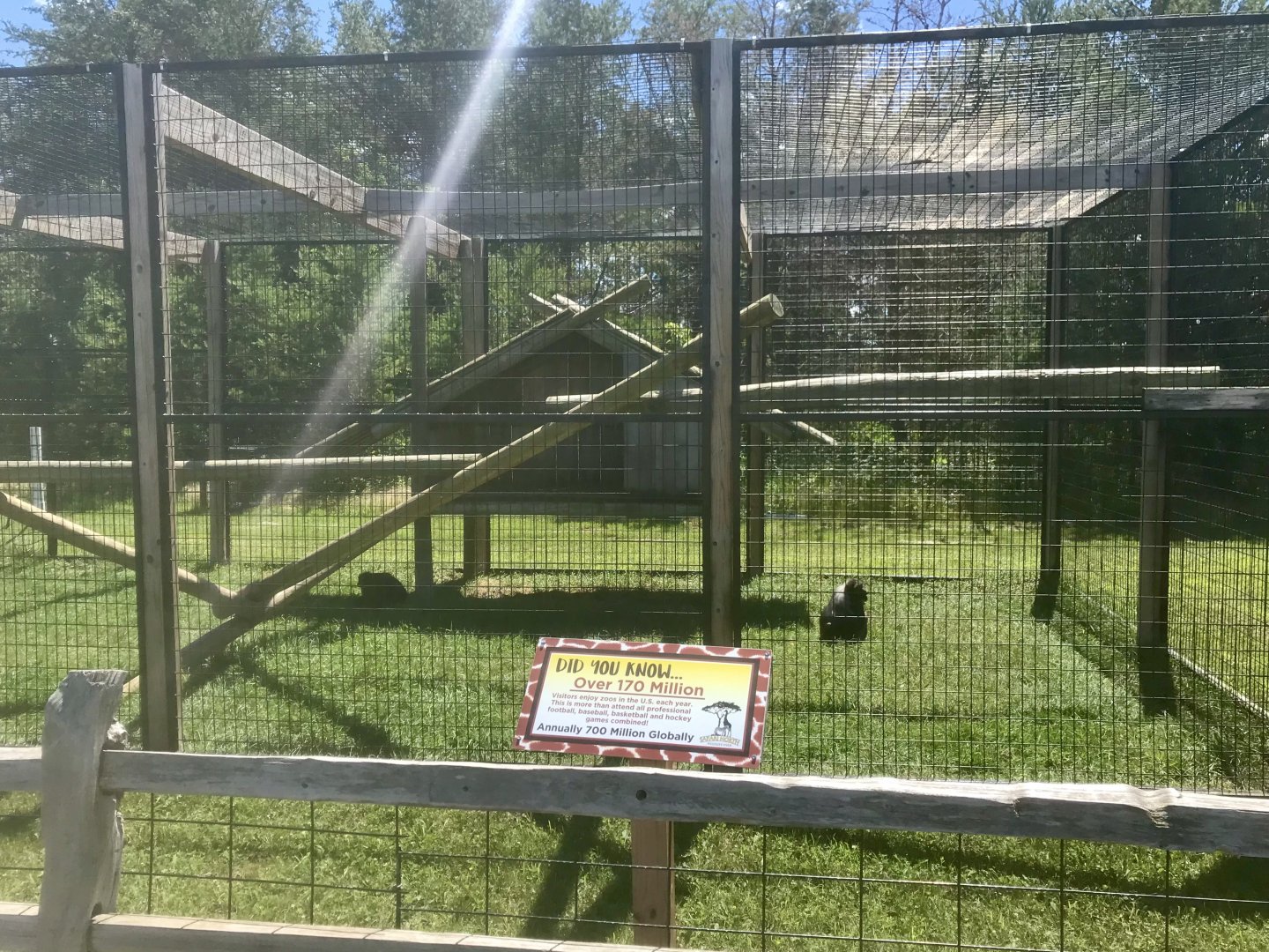 Primates - Booted Macaque Exhibit