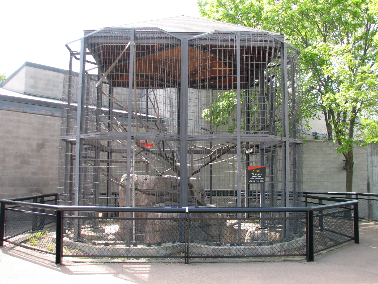 Primates - Empty Exterior Exhibit