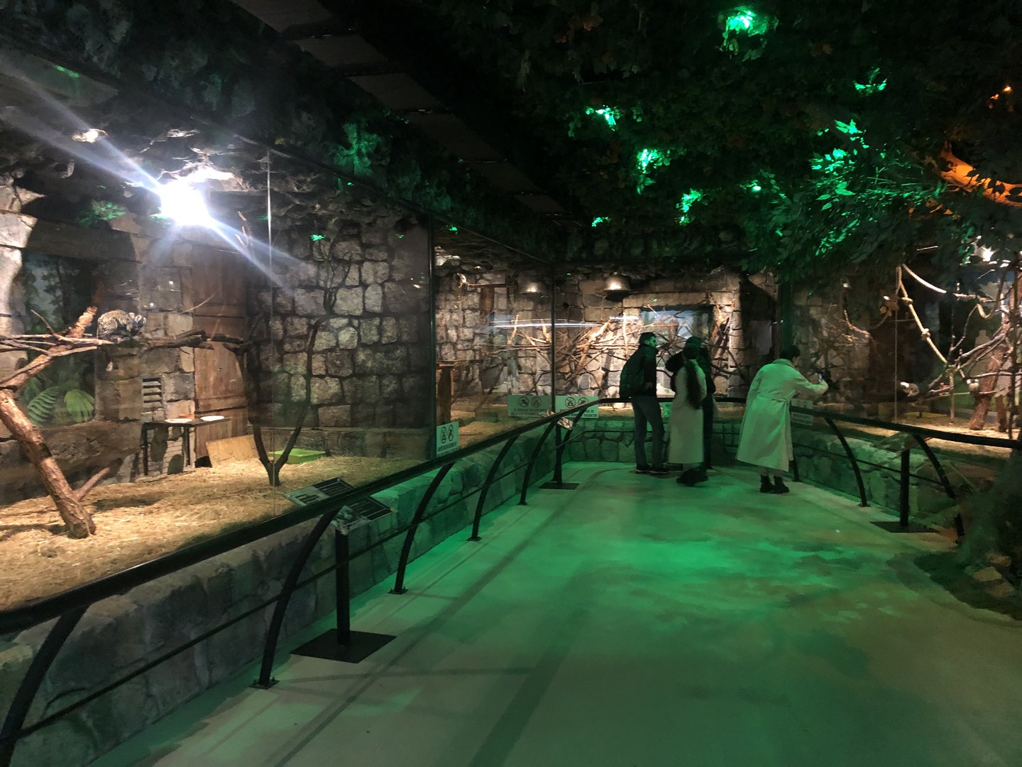 Primates Enclosures at Aqua Vega