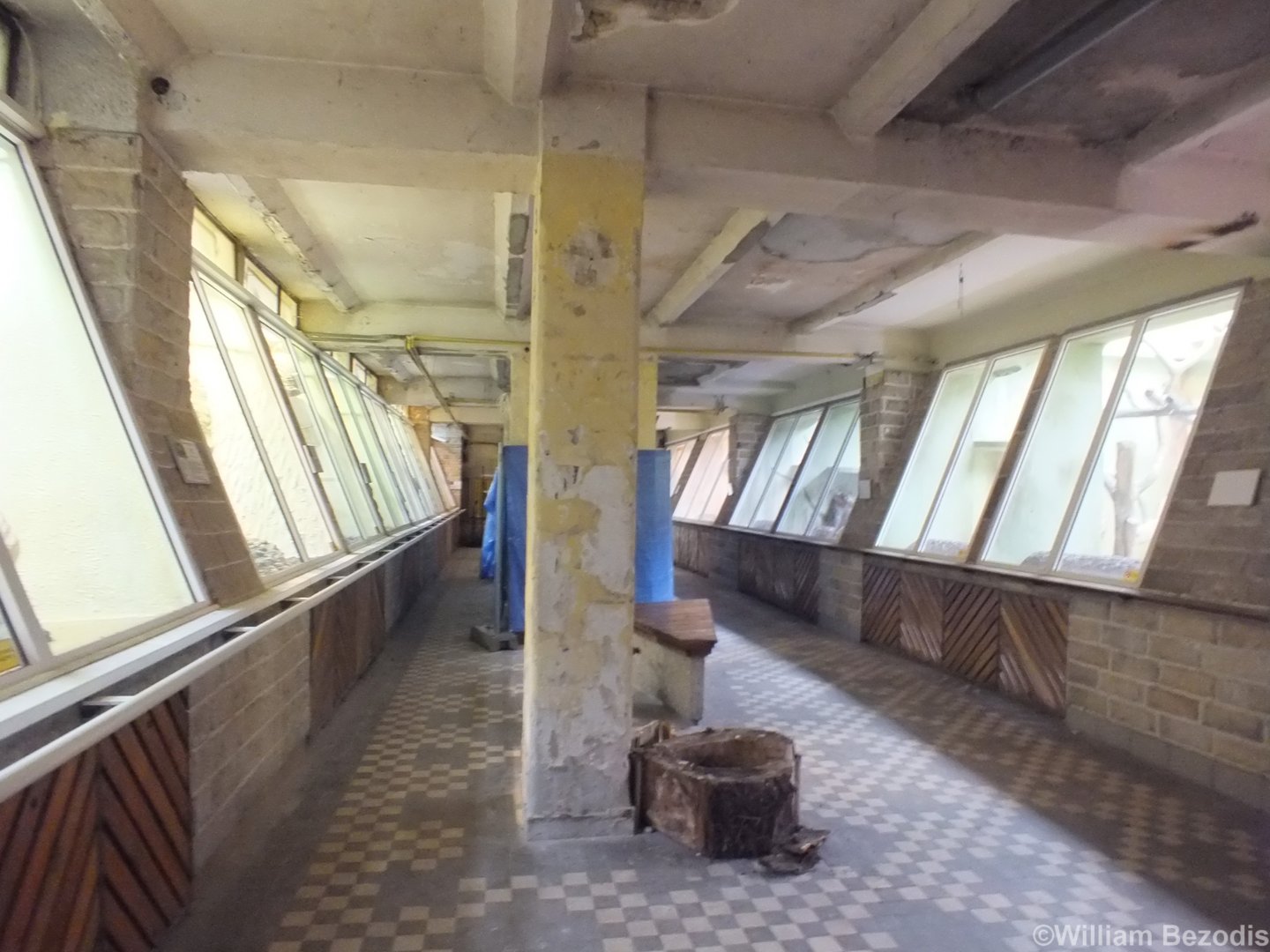 Primates House Indoors