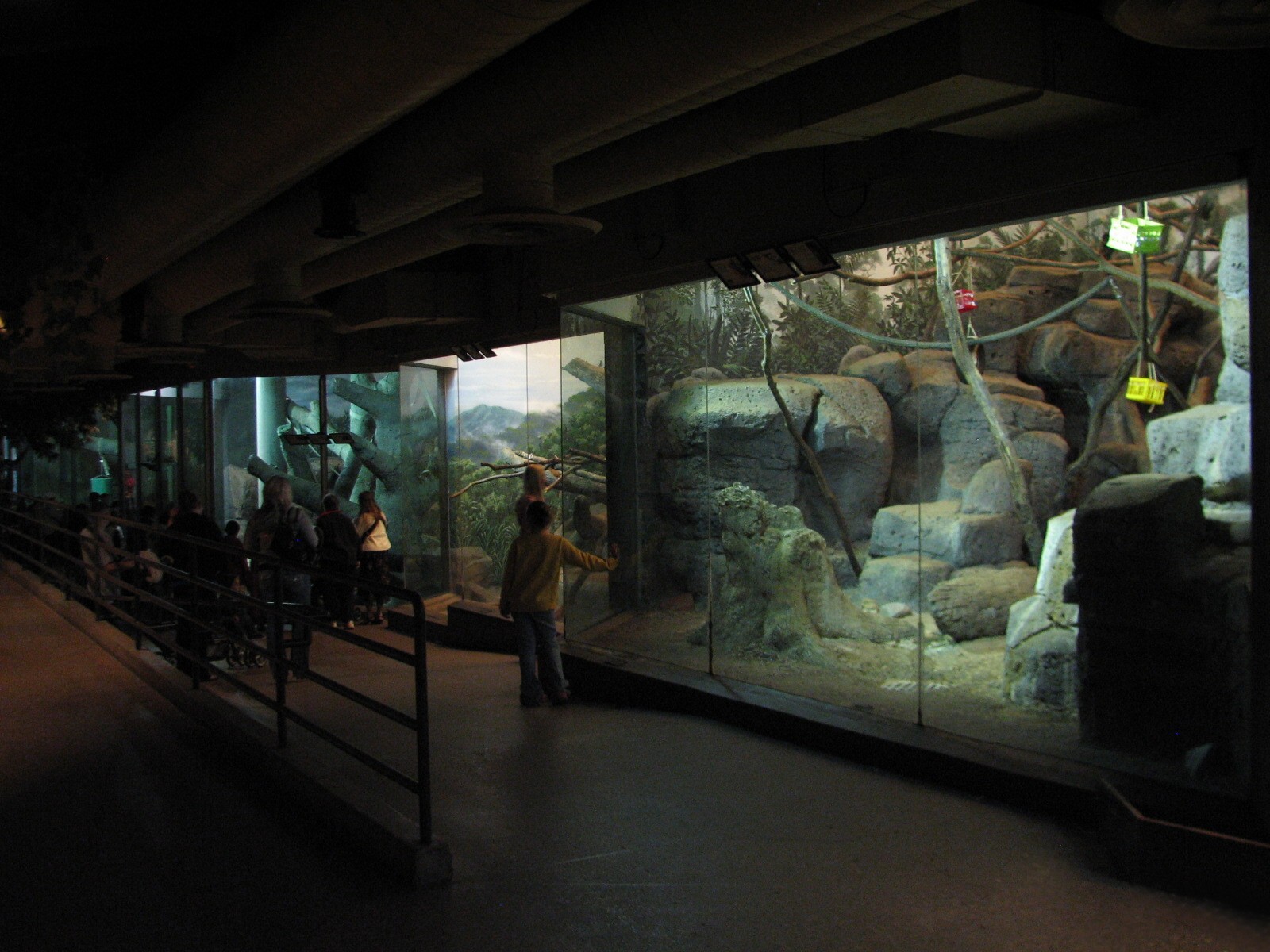 Primates - Interior Hallway