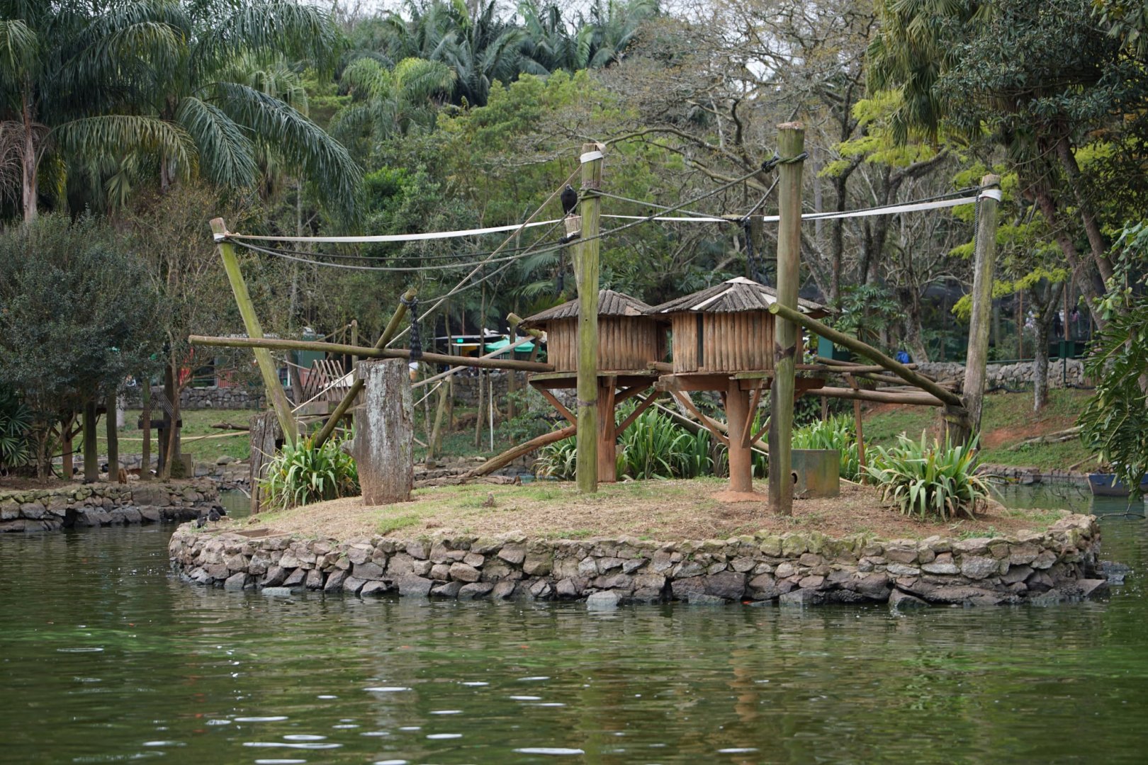 Primates Island