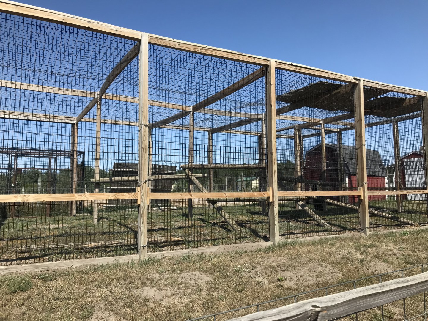 Primates- mandrill exhibit