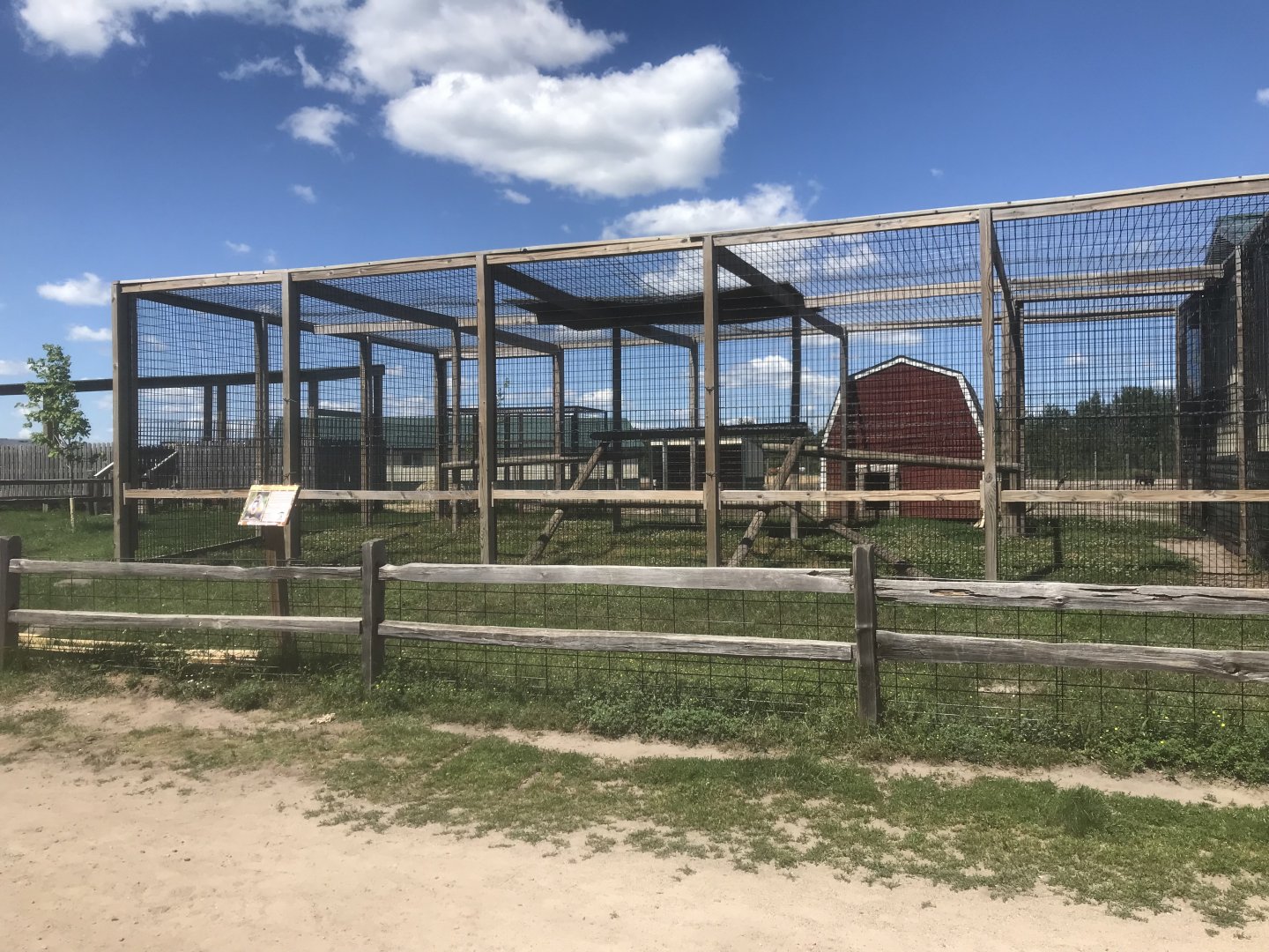 Primates - Mandrill Exhibit