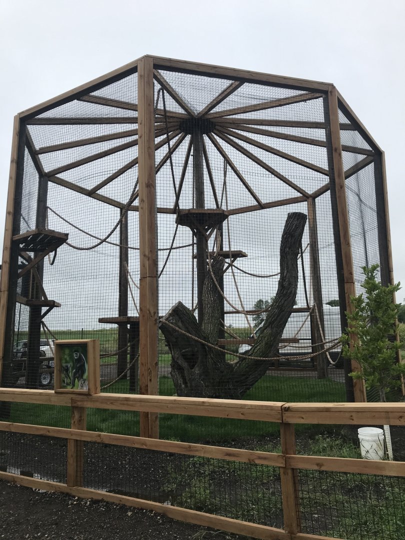 Primates- Manteled Guereza Exhibit