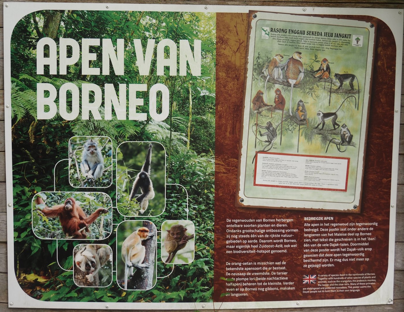 Primates of Borneo signage, 2024-08-18
