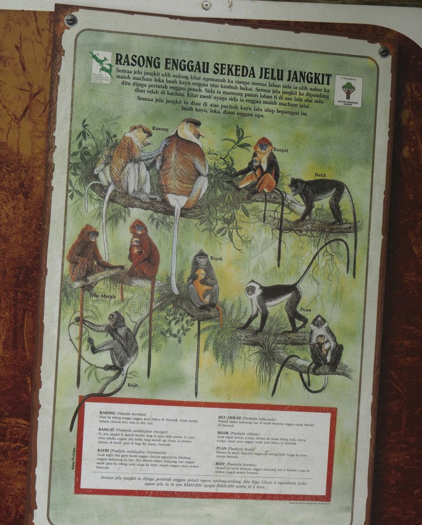 Primates of Borneo signage, 2024-08-18