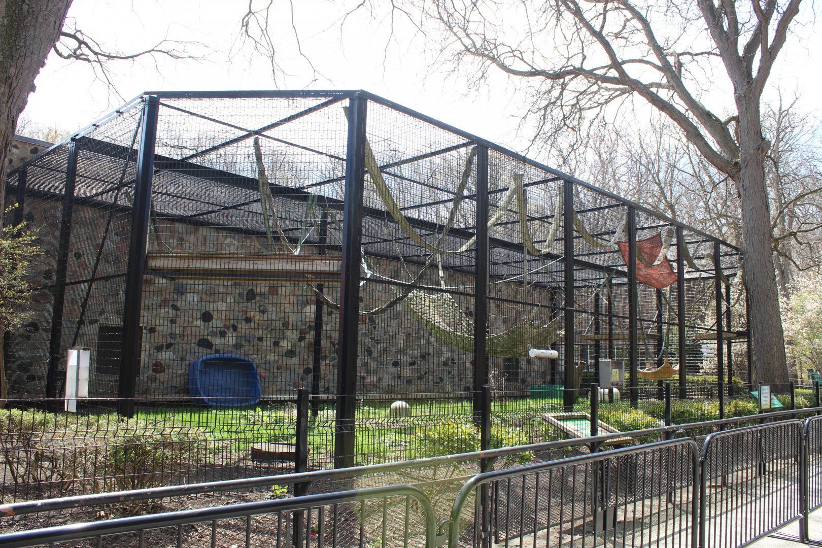 Primates of the World - Orangutan Exhibit