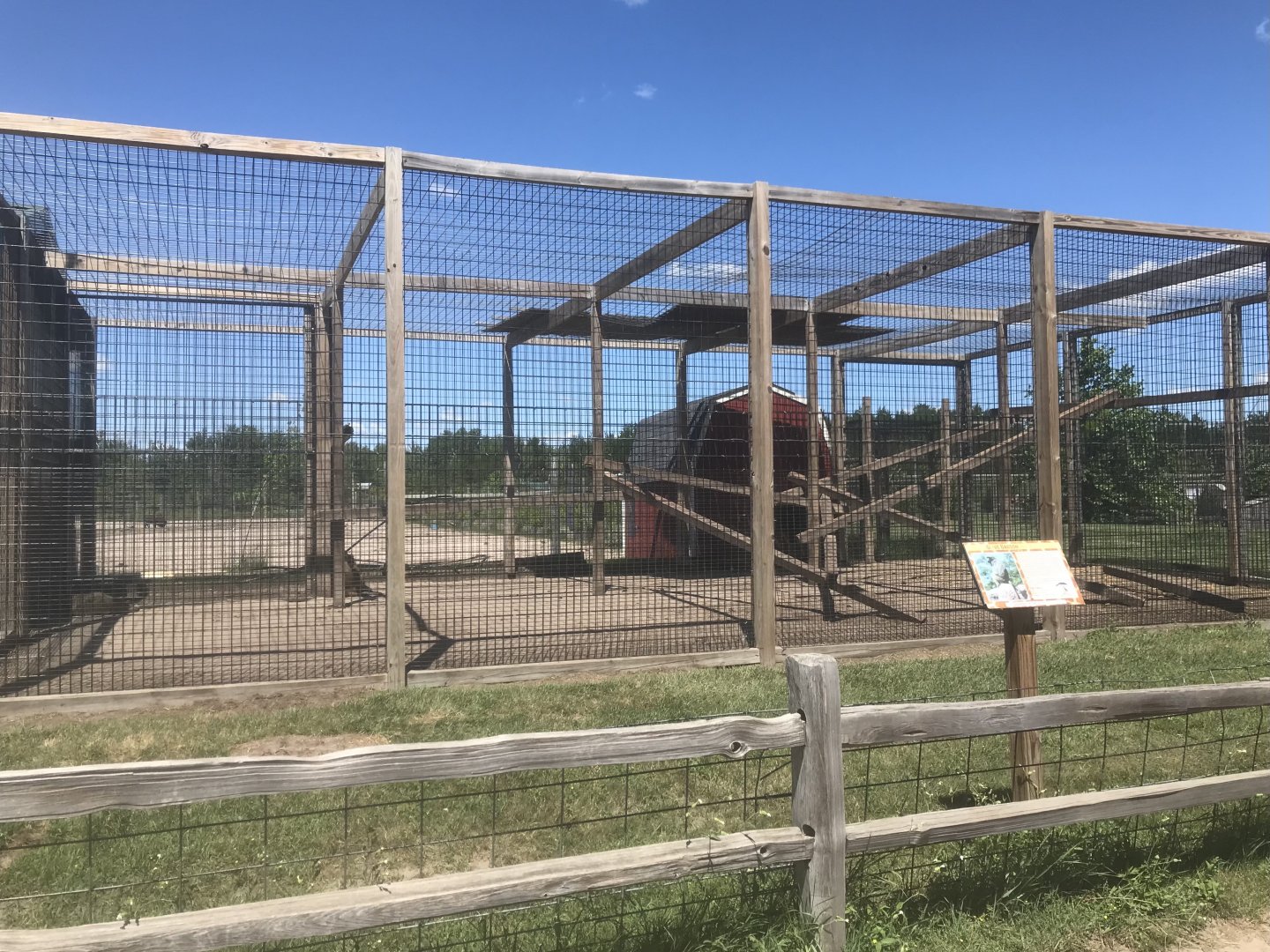 Primates - Olive Baboon Exhibit