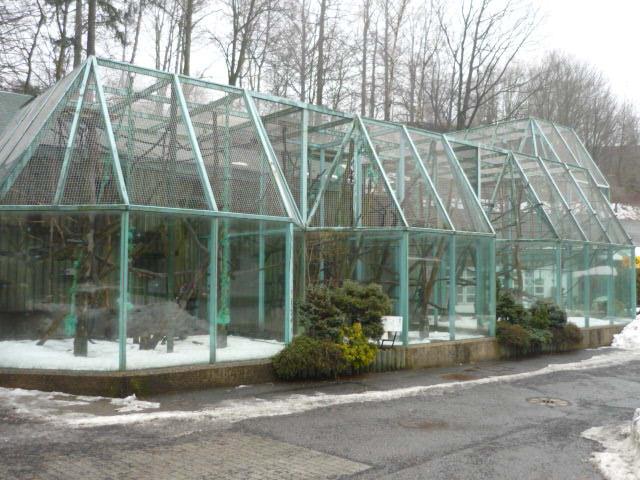 Primates Outdoor Exhibit