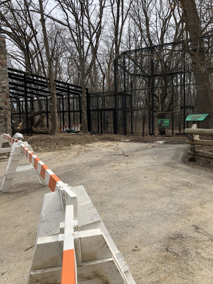 Primates outdoor exhibit