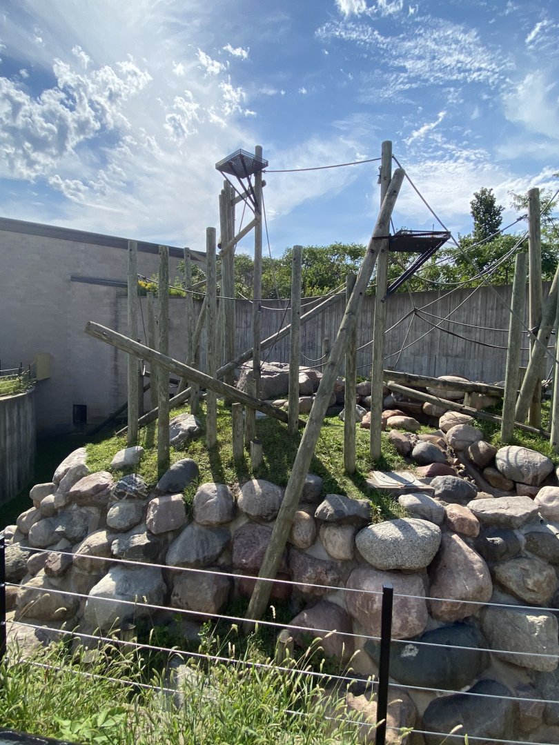 Primates- outdoor Sumatran orangutan exhibit