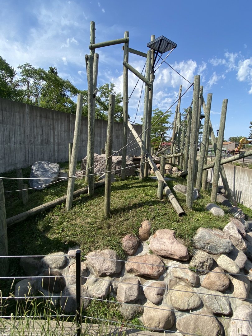 Primates- outdoor Sumatran orangutan exhibit