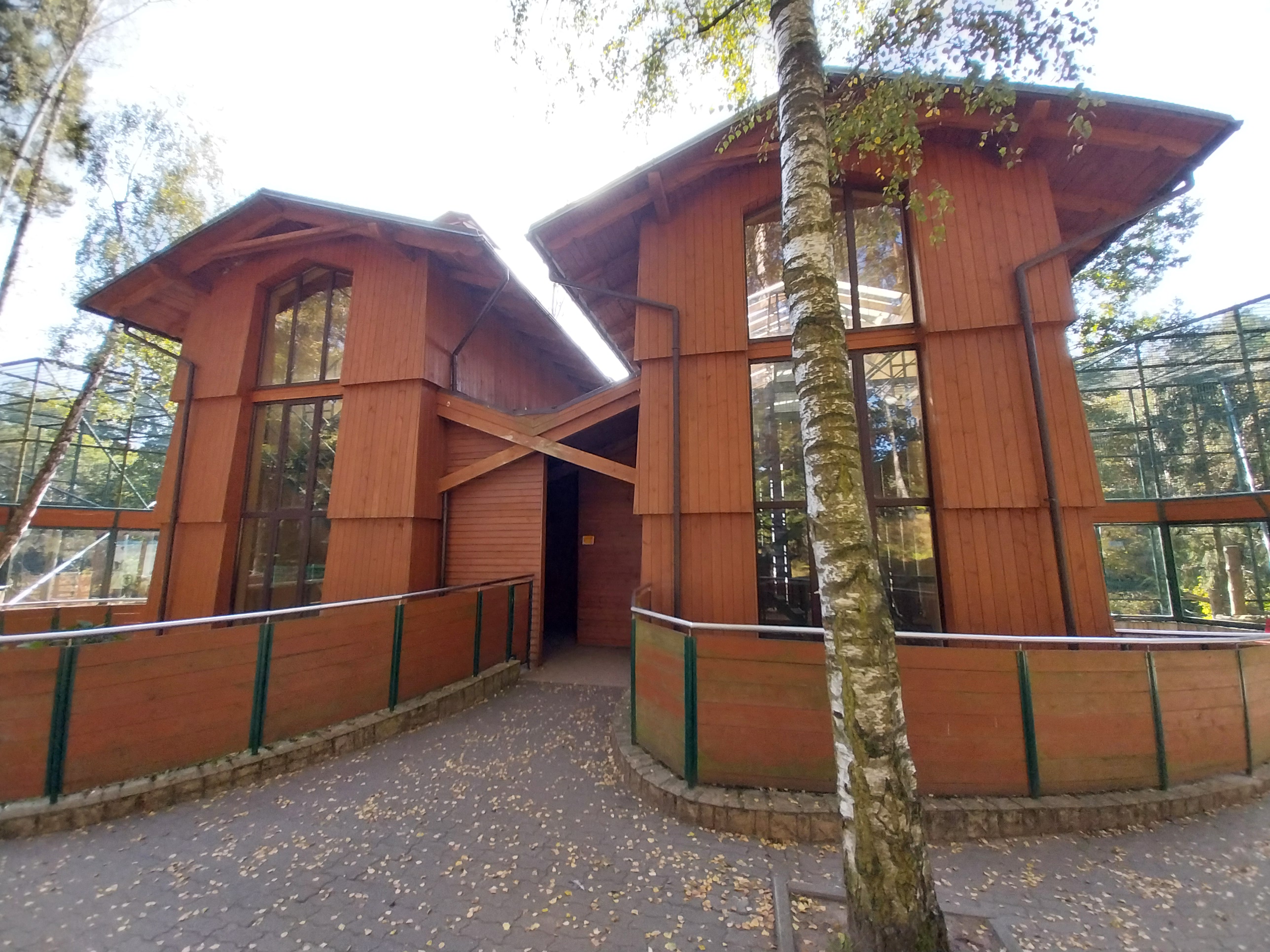 Primates - Public entry for Black-and-Gold Howler Monkey (Alouatta caraya) and  Javan Lutung (Trachypithecus auratus)