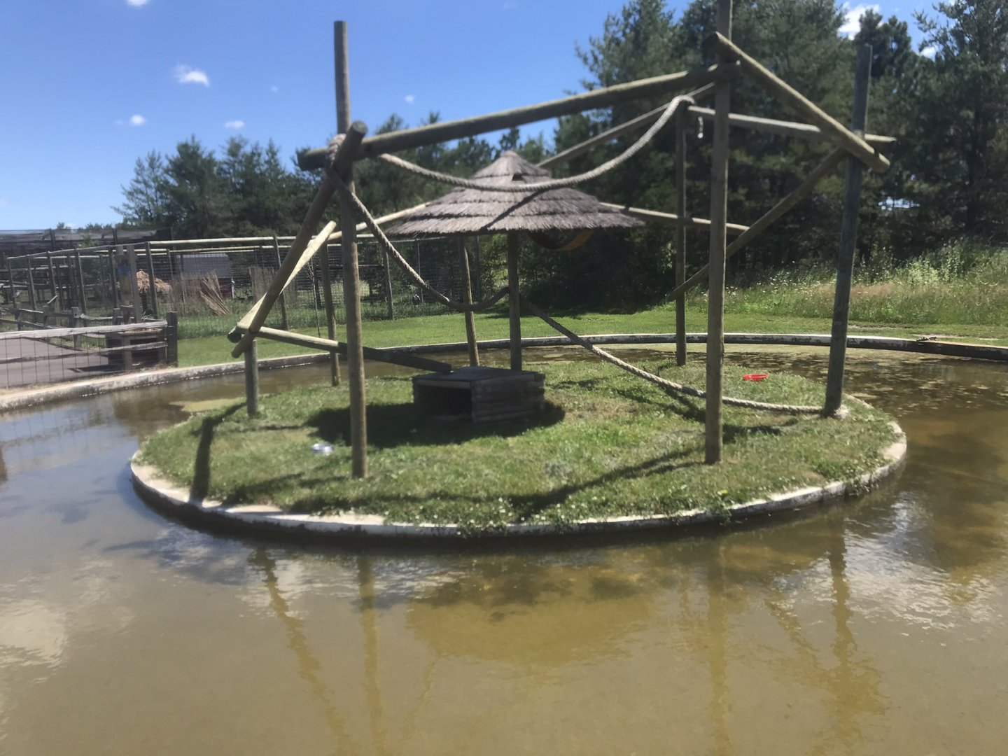 Primates - Red Ruffed Lemur Island