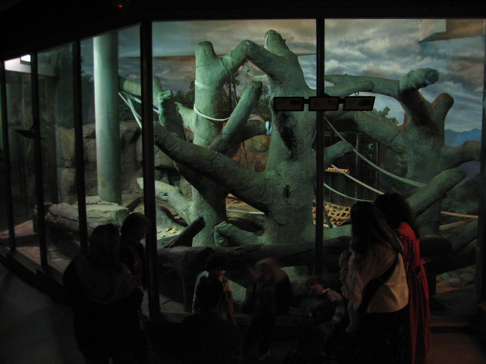 Primates - Sumatran Orangutan Bedroom