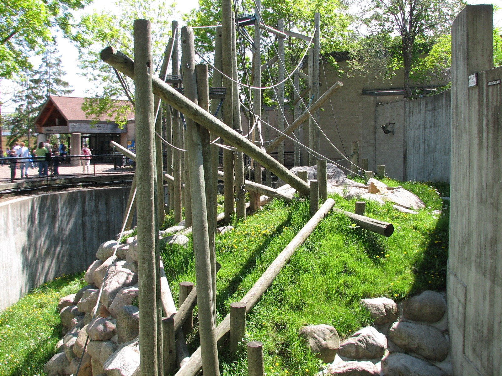 Primates - Sumatran Orangutan Exhibit
