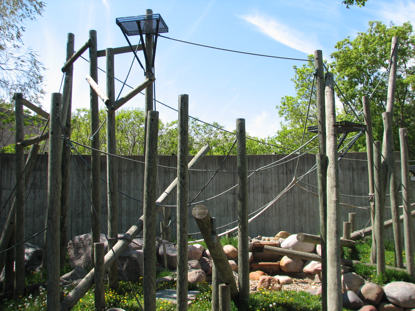 Primates - Sumatran Orangutan Exhibit