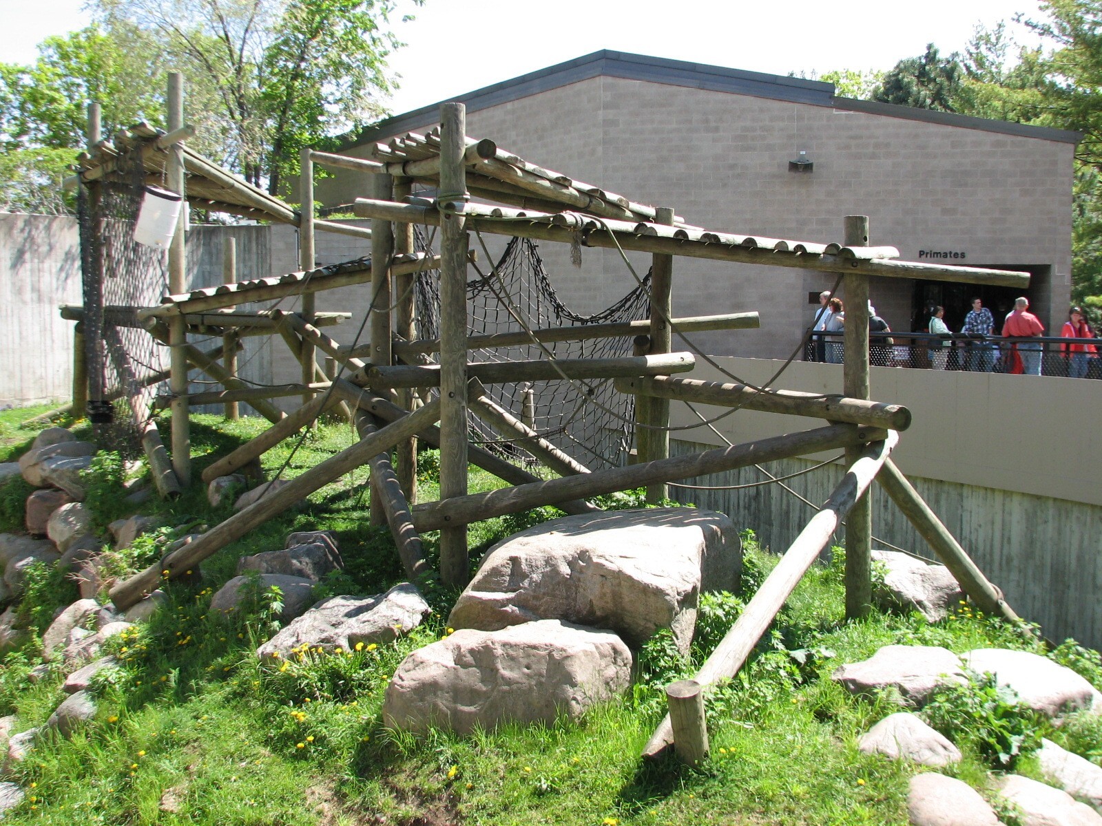 Primates - Western Lowland Gorilla Exhibit