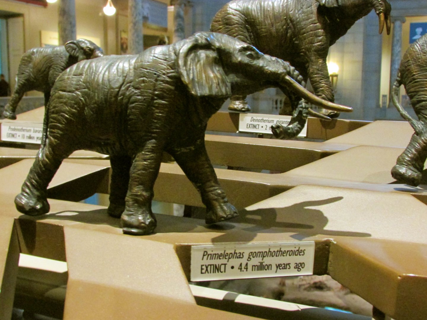 Primelephas Bronze Sculpture